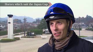 Through the eyes of World-class jockey | JRA Official