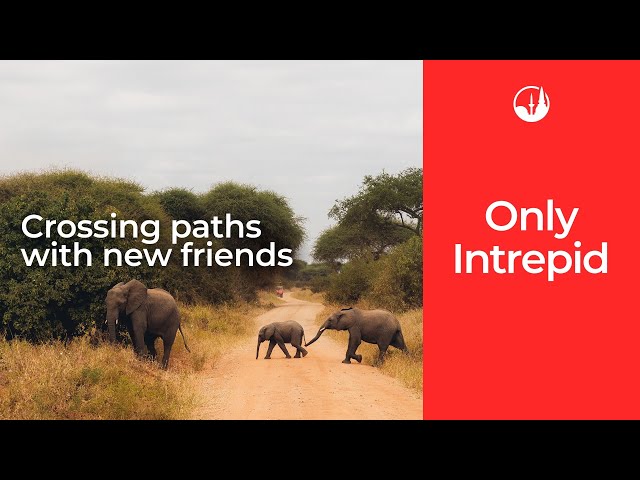 Only Intrepid: Crossing paths with new friends