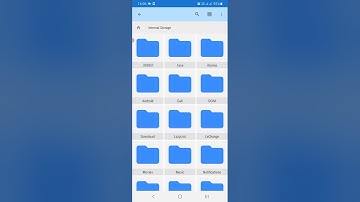 Permission to access storage of "Disk usage & analyzer" application