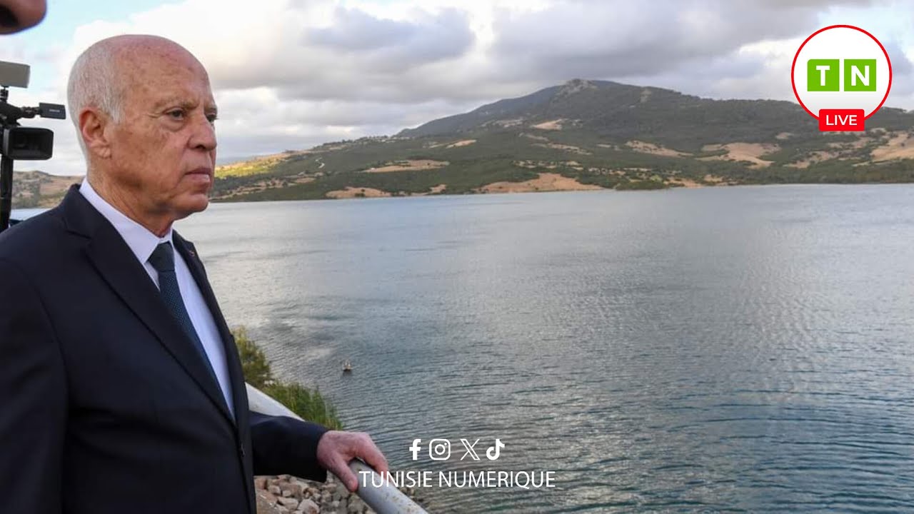 رئيس الجمهورية قيس سعيد يعاين وضعية عدد من السدود