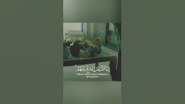 آيات بينات من القرآن الكريم 🌷 بصوت جميل حالات واتس اب دينية قصيرة مؤثرة تلاوة خاشعة Quran status