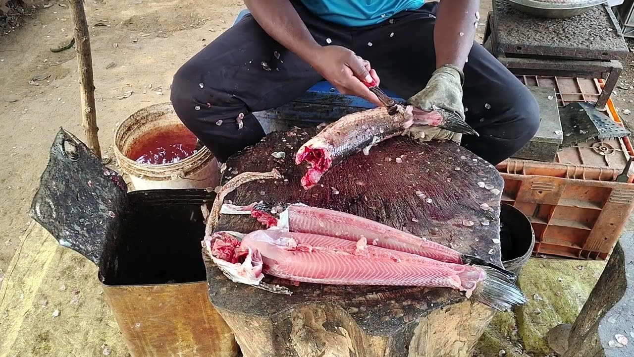 Skinless 🍤snakehead 🐍 fish cutting ✂️ for curry 🍛🤤