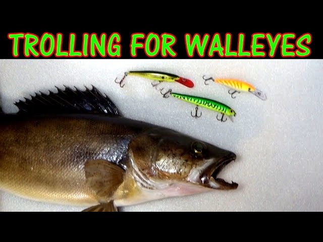 How To Troll For Walleyes - How To Catch Walleyes 
