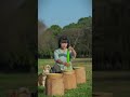 Traditional Chinese Handmade Craft | The Magic of "Two-Faced" Cat #magic #art #silk