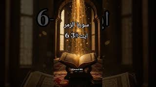 |Surah-e-Zumar||Ayat#3-6|#quran