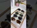 #sunglasses👓 #sunshades #glassesstyle #glassesfashion