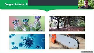 Tree Week 2023, Talking Trees Webinar Recording