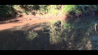 Fieldwork: River study location