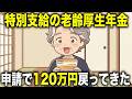 【申請忘れ注意】特別支給の老齢厚生年金を申請したら120万円戻ってきたお話