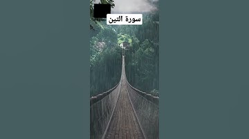 القرآن الكريم سورة التين