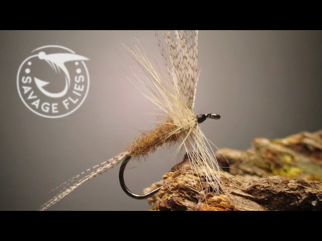 Fly Tying the Red Fox (Catskill style dry fly pattern) 