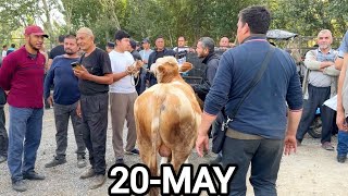 YOZYAVON MOL BOZORIDA SOTILGAN VA QAYTGAN MOLLAR.