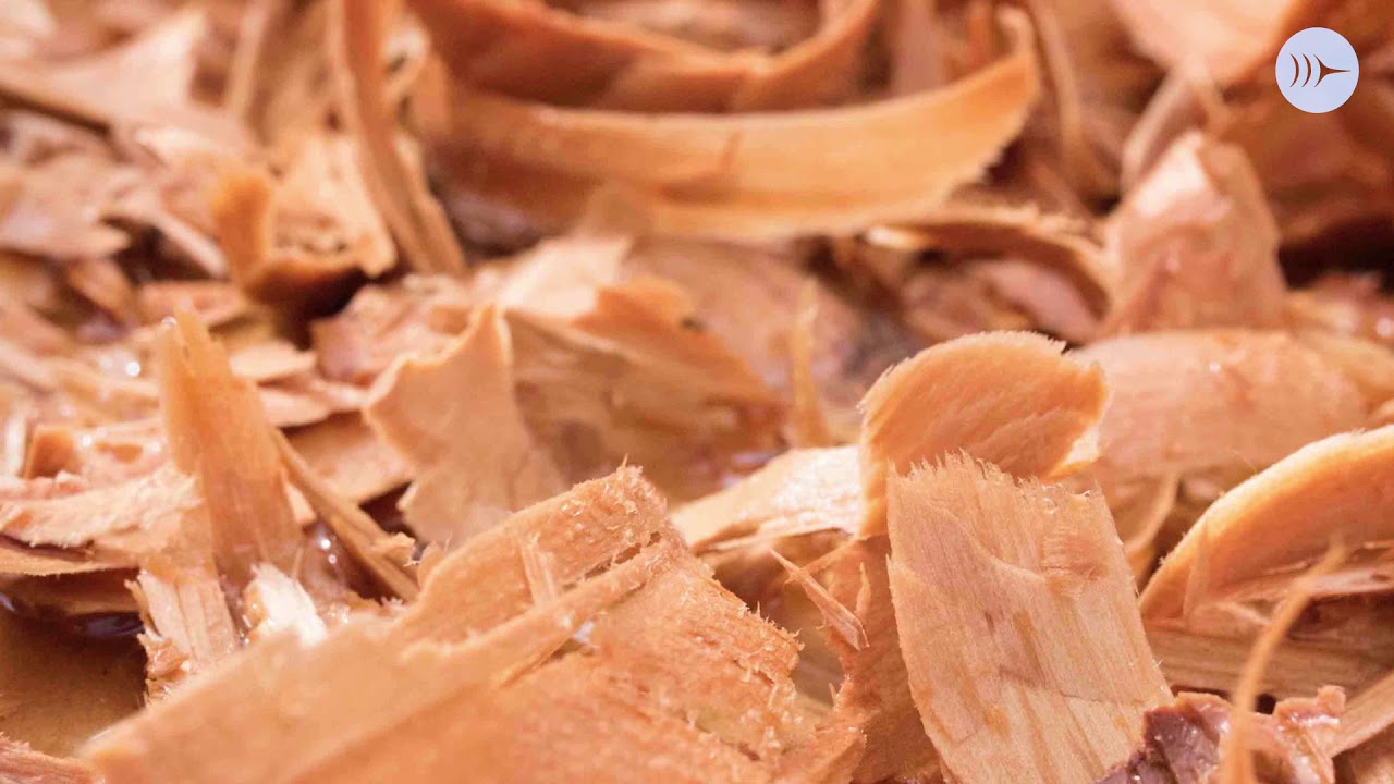 Launching the Coast Salish s.dexiA canoe