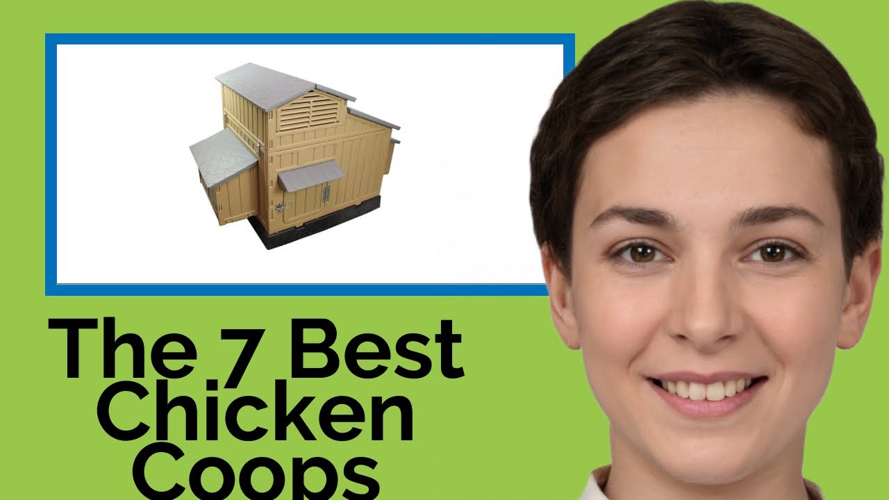 👉 The 7 Best Chicken Coops 2020 (Review Guide) YouTube