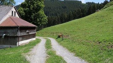 Stabilization test in my Panasonic Lumix G9