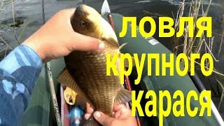 Ловля крупного карася В Курганской области.