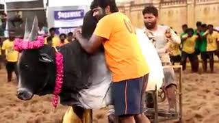 Makeing video of karuppan movie vijay sethupathi