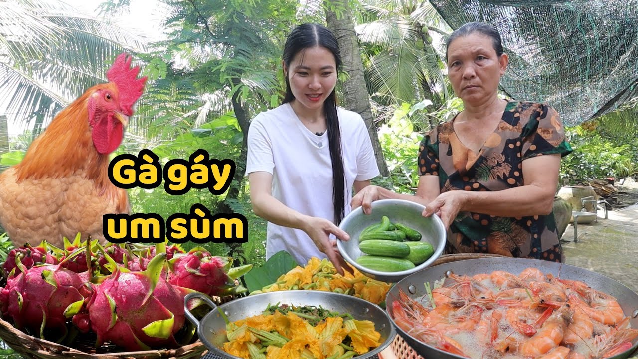 Q Chăm Cả Đàn Gà Vịt Lớn Nhỏ Như Vầy. Hái Rổ Bông Bí Xào Thịt Bò, Tôm Luộc Nước Dừa Ăn Cơm