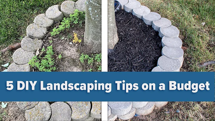 5 DIY Landscaping Tips on a Budget - DayDayNews