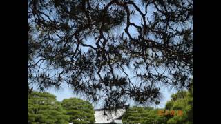夢與詩 20161204
