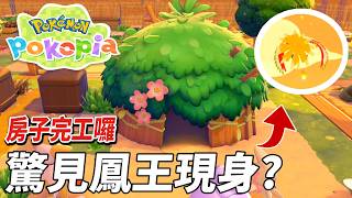 房子終於蓋完囉!! 我竟然碰上鳳王了 結果他飛過上空就掉了一坨毛給我!?!?  | pokopia 寶可夢動森 | 克克
