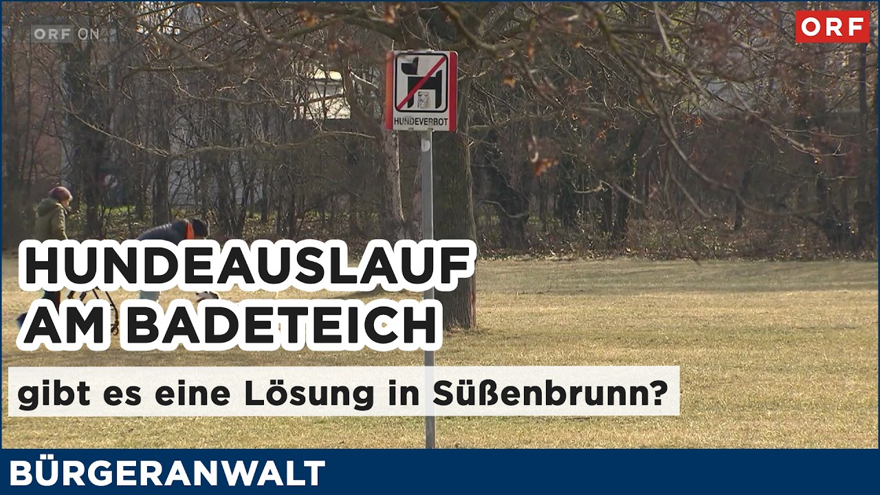 Hundeauslauf am Badeteich - gibt es eine Lösung am Badeteich Süßenbrunn? | Bürgeranwalt 28.02.2026