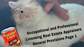 Occupational and Professional Licensing Real Estate Appraisers General Provisions Page 1