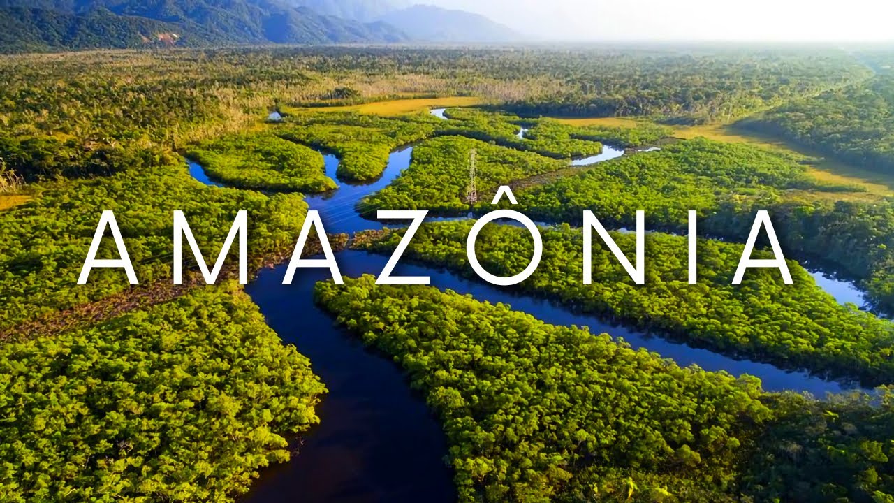 O QUE FAZER NA AMAZÔNIA? GUIA COMPLETO COM MELHORES LUGARES PARA ...