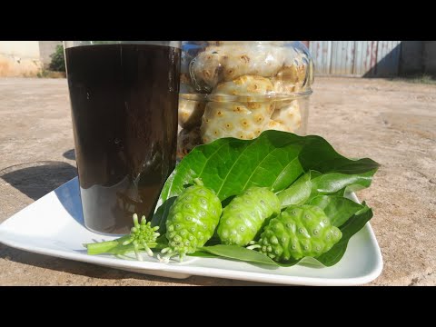 كنت أظن أن النوني مجرد عصير كنت مخطئ ا 