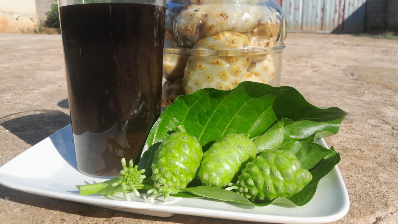 I Thought Noni Was Just Juice… I Was Wrong