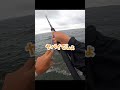 青物にはブレードチューンが効くらしい