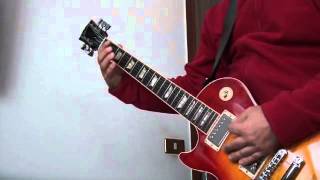 Pedigree Butchery carcass Cover