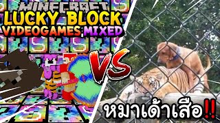 เปิดลักกี้บล็อก VideoGames,Mixed สู้ หมาเด้าเสือ!! Minecraft Lucky Block ft.@Kaylee_PK