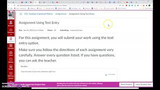 Submitting Text Entry Assignments on Canvas