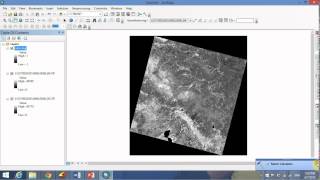 Landsat 8 NDVI calculation using ArcGIS 10.2 raster calculator
