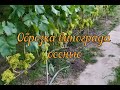 Обрезка винограда осенью