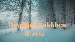 Autós vadkemping a Bükkben II. rész 