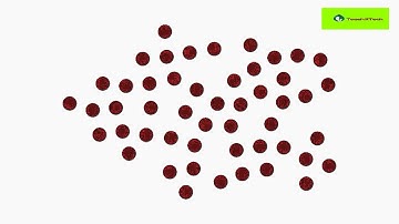 Red Dot card program   Day 9 Cycle 1 using Shichida’s 65 Day Program