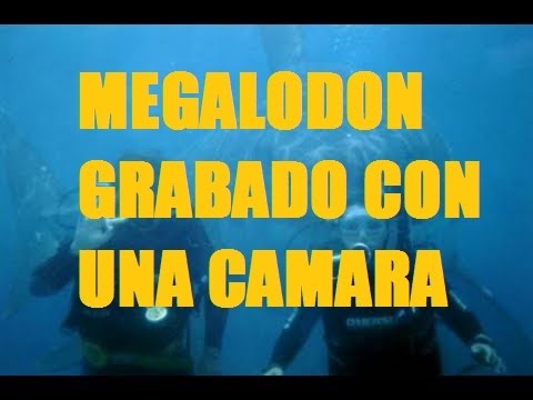 concierto juan magan 2017 con el morro fino