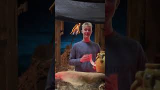 Pt4of4: Thanksgiving Tribal Council #thanksgiving #youthministry #linwoodStudents #Survivor