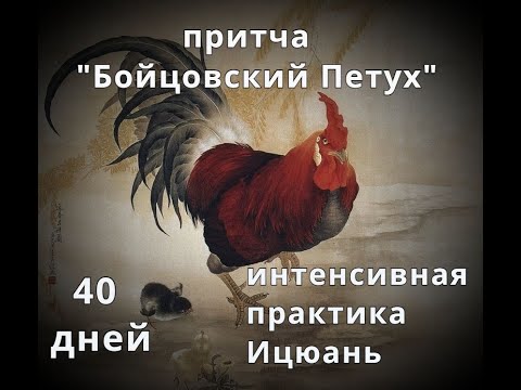 Ицюань - 40 дней интенсивный курс. Притча ' Бойцовский петух'