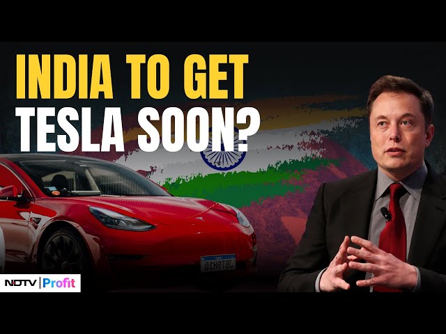 Tesla's India Debut: Model Y Launch Set For Second Half Of 2025 | Tesla News - YouTube