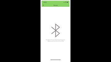 Connect the ThermoWorks Wand Blue to your iOS Device