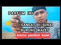 Cara membuat parfum walet aroma pemikat walet