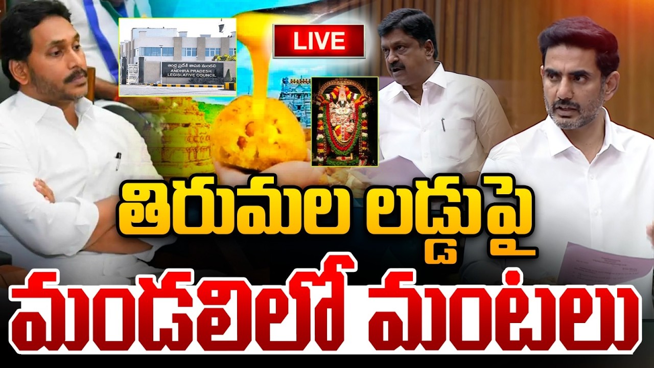 🔴Live : తిరుమల లడ్డుపై మండలిలో మంటలు : AP Legislative Council | TDP VS YCP | Wild Wolf Telugu
