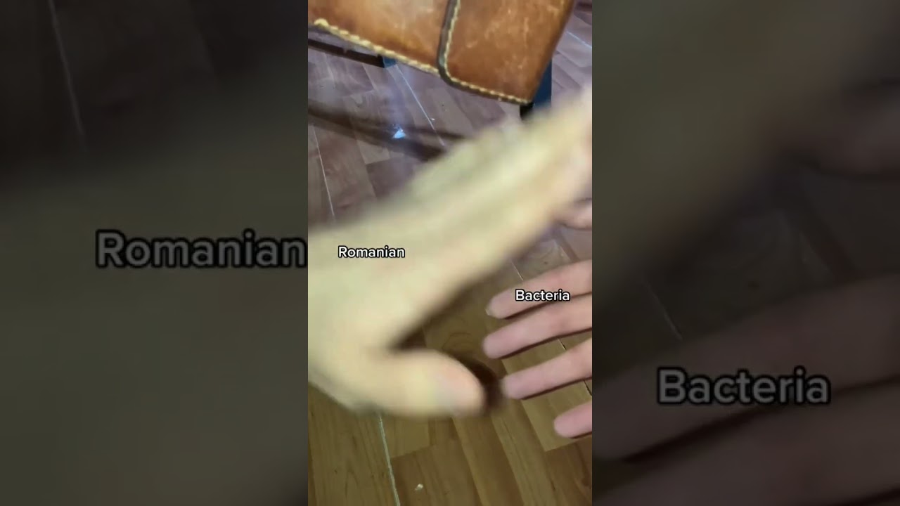 YouTubeでRomanian vs bacteria catching a falling wallet #shorts #romania #meme #wallet #funnyを視聴 YouTubeでRomanian vs bacteria catching a falling wallet #shorts #romania #meme #wallet #funnyを視聴