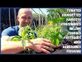 10 légumes à semer ou planter en avril/mai au potager !