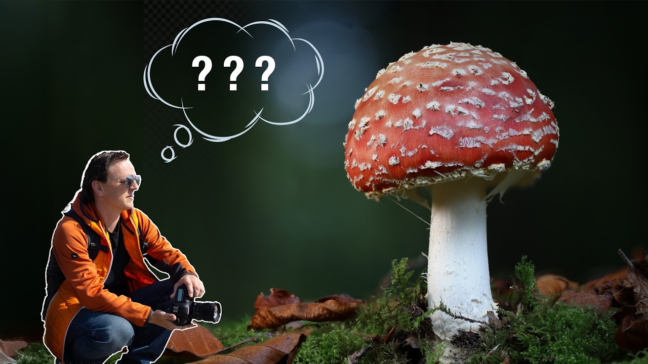 Моя ПЕРВАЯ попытка сделать это