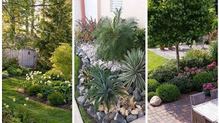 Beautiful garden ideas 2024 | awesome green gardening