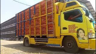 PANEN AYAM BROILER || PANGSOR PAGADEN SUBANG